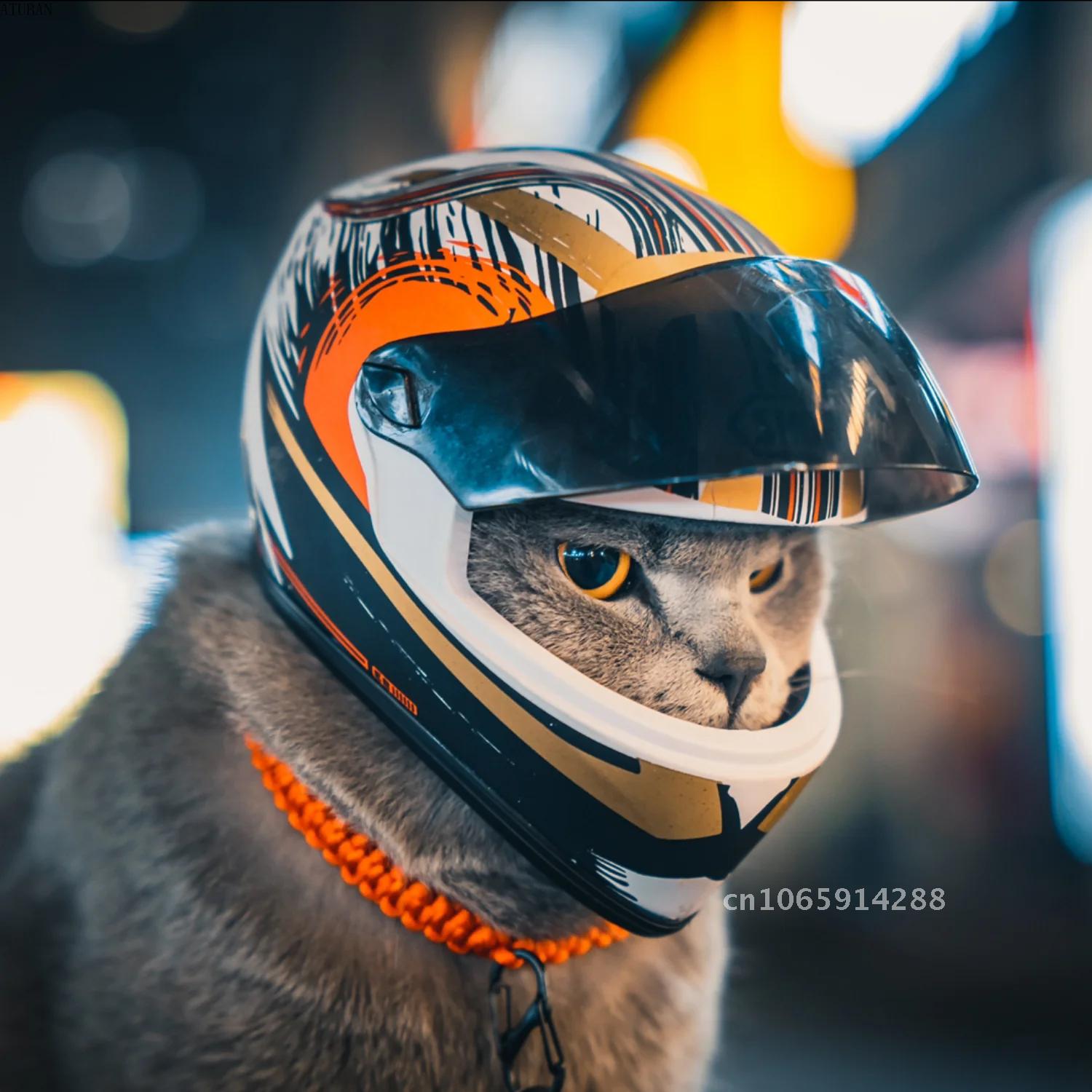 Motorcycle Gear Dogs - Photo Pet Helmets,Cat Helmet,Dog Helmet-Outdoor Mini
