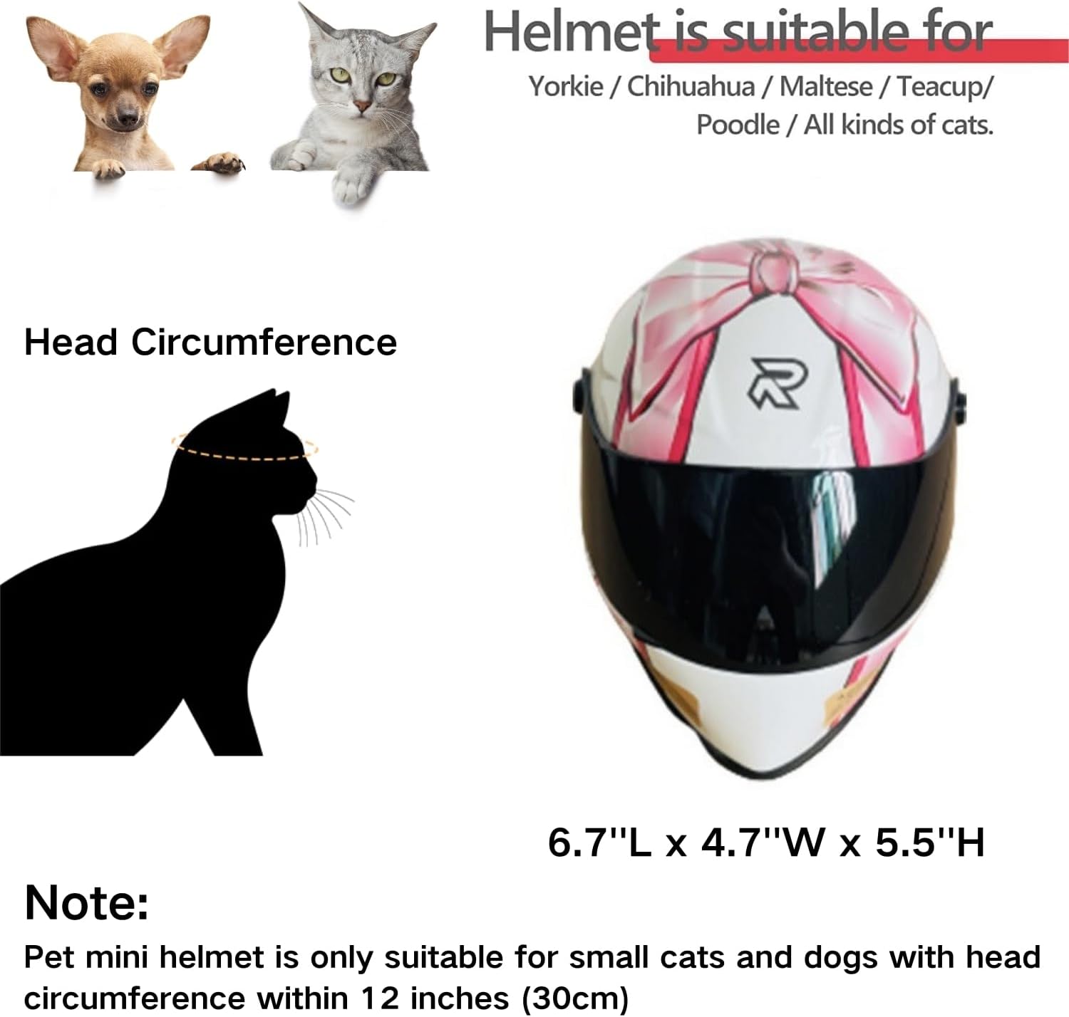 Cat Motorcycle Helmet Full Fac - Motorcycle Gear Dogs 评论和价格