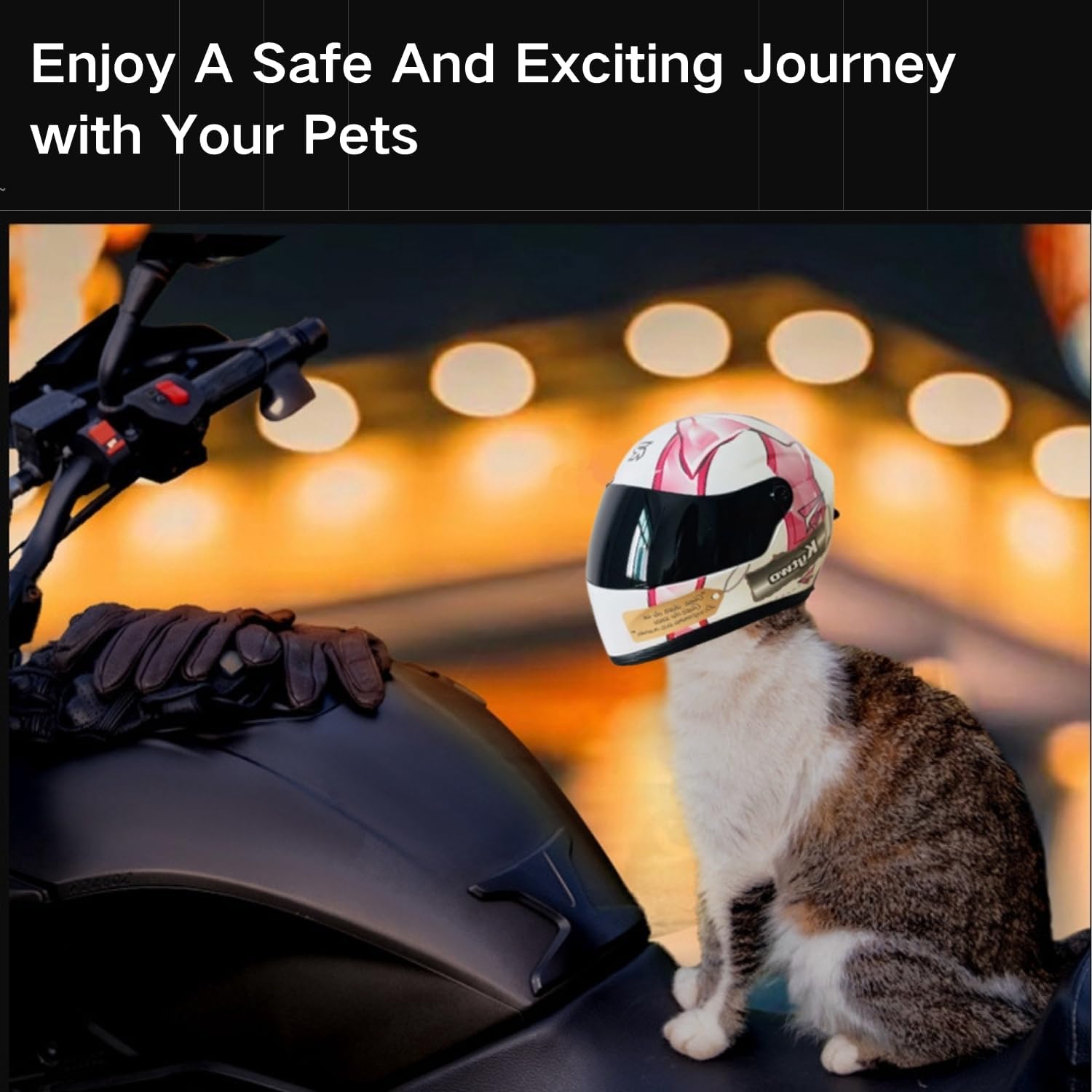 Cat Motorcycle Helmet Full Fac - Motorcycle Gear Dogs 评论和价格