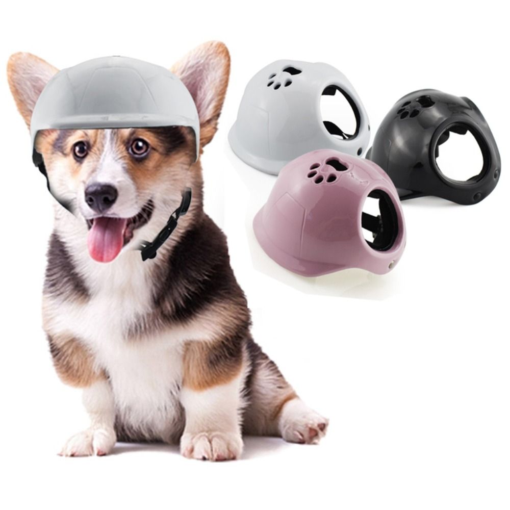Plastic Pet Dog Helmets With E - Motorcycle Gear Dogs 评论和价格