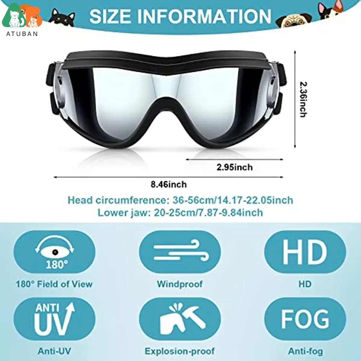 Dog Sunglasses Pet Helmet Set  - Motorcycle Gear Dogs 评论和价格
