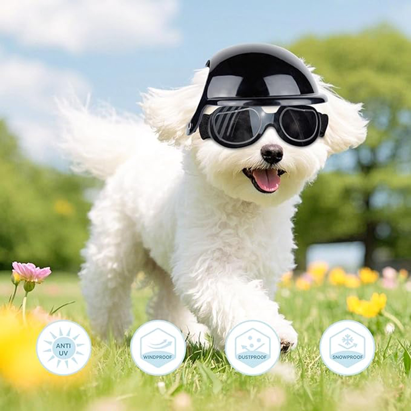 Dog Helmet and Sunglasses Sets - Motorcycle Gear Dogs 评论和价格