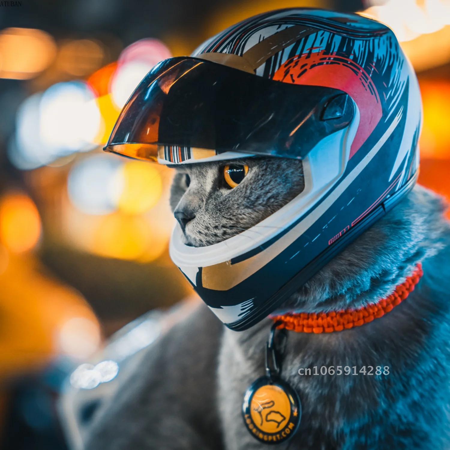 Photo Pet Helmets,Cat Helmet,D - Motorcycle Gear Dogs 评论和价格