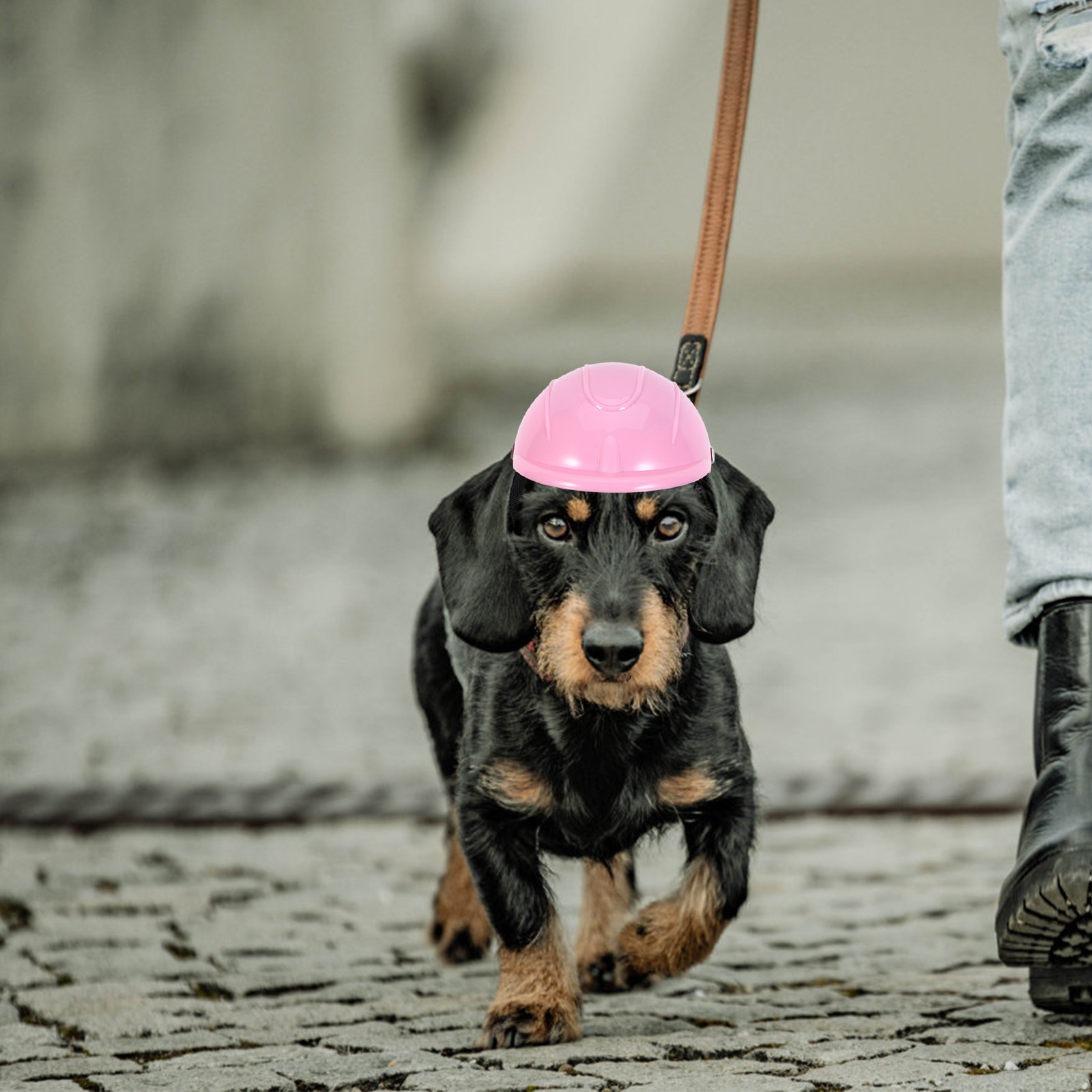 Small Dog Adjustable Pet Safet - Motorcycle Gear Dogs 评论和价格