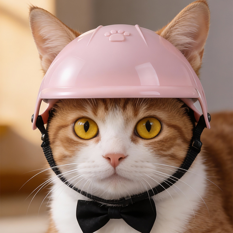 Pet Helmet 3D Paw Print Dogs C - Motorcycle Gear Dogs 评论和价格