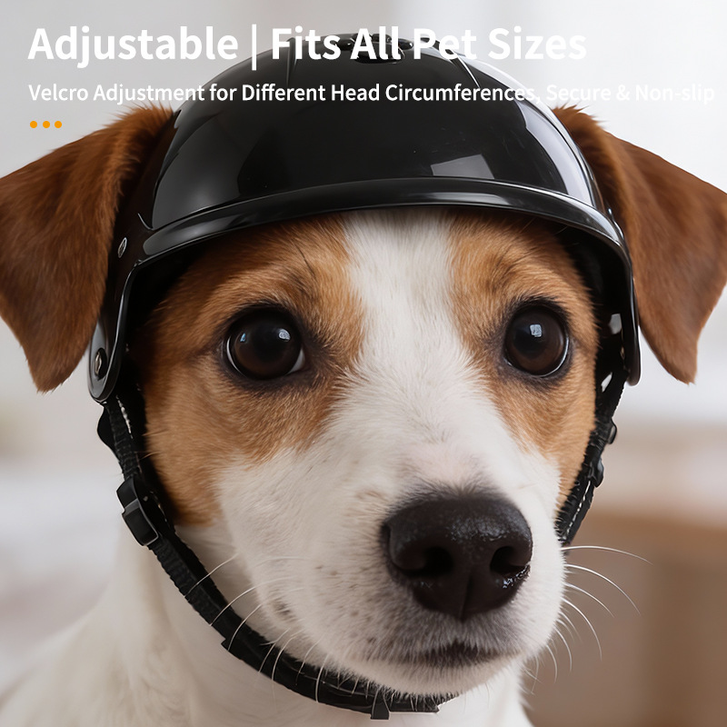 1Pc Cute 3D Paw Pet Helmet for - Motorcycle Gear Dogs 评论和价格