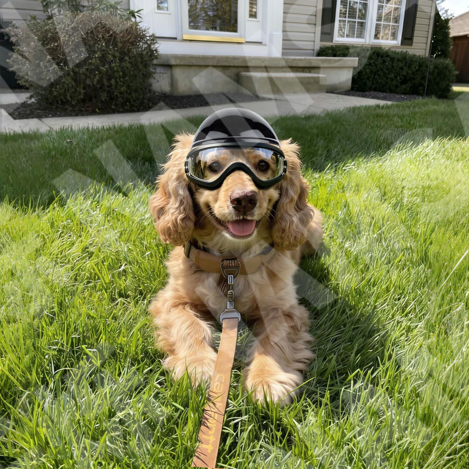 Dog Sunglasses and Pet Helmet  - Motorcycle Gear Dogs 评论和价格