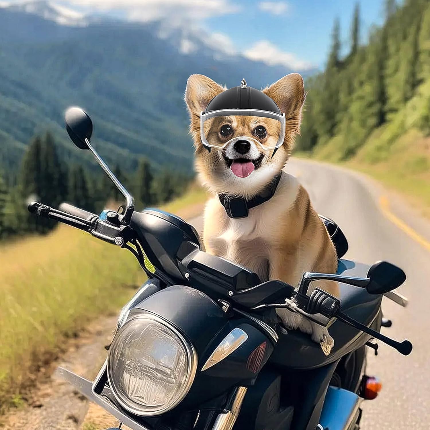Small Dog Helmet Pet Motorcycl - Motorcycle Gear Dogs 评论和价格